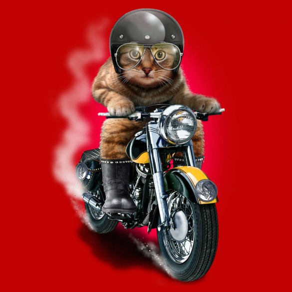 Hell Rider custom t-shirt design by adamlawless design