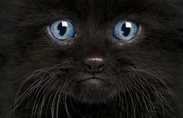 Black kitty custom tee