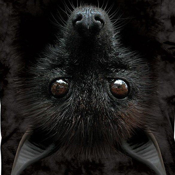 bat head the mountain t-shirt design