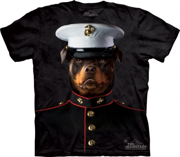 Daily Tee Marine Sarge from The Mountain