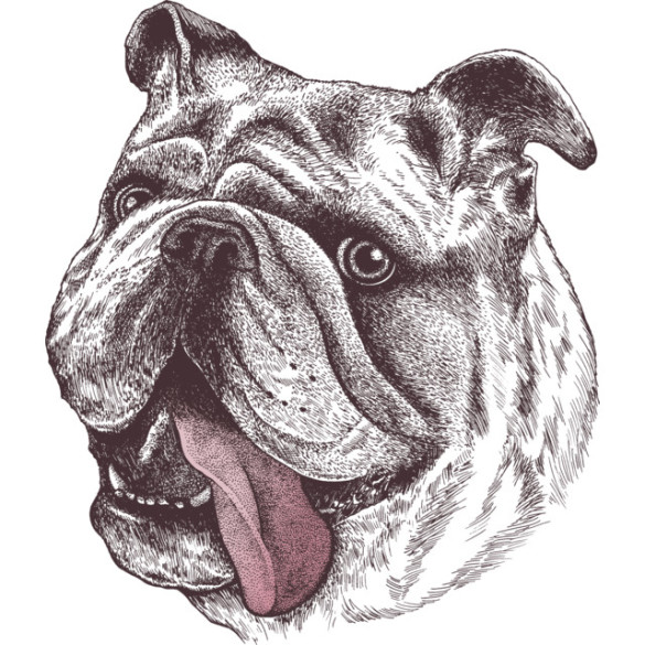 Bulldog King T-shirt Design by rcaldwell