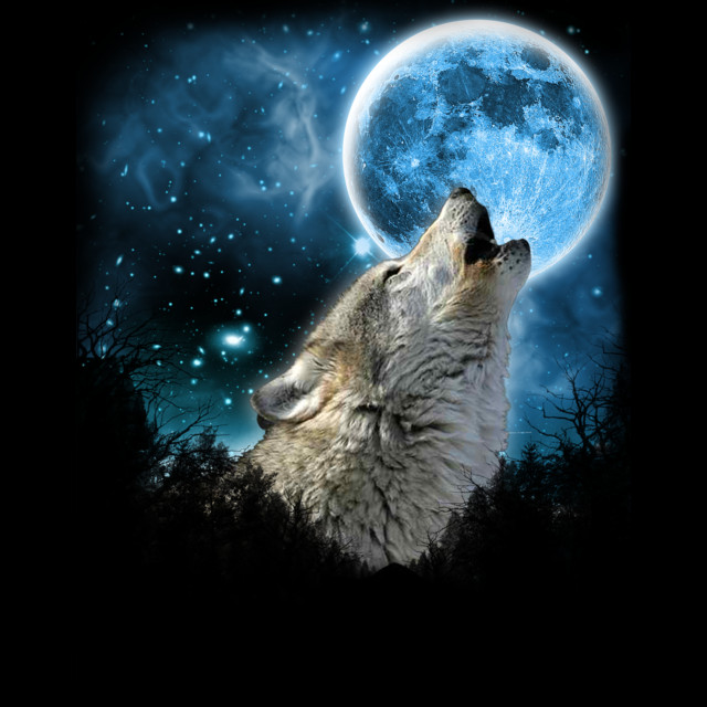 Silver Wolfs Skylight T-shirt Design by comdo99 main image