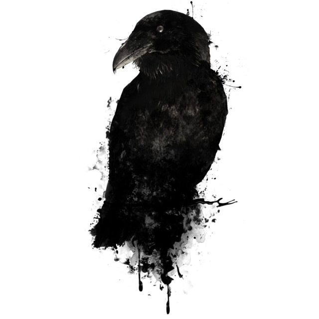 The Raven T-shirt Design by NGDesign design