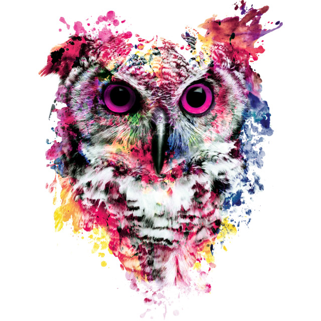 Owl T-shirt Design by rizapeker design