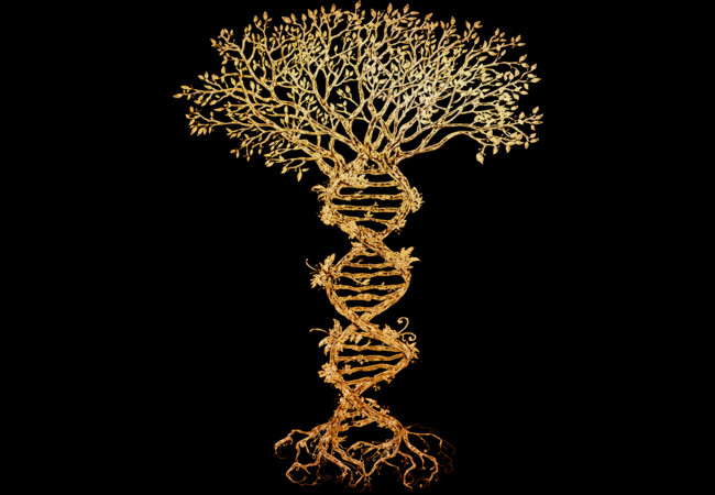 Tree of life T-shirt Design by timea design