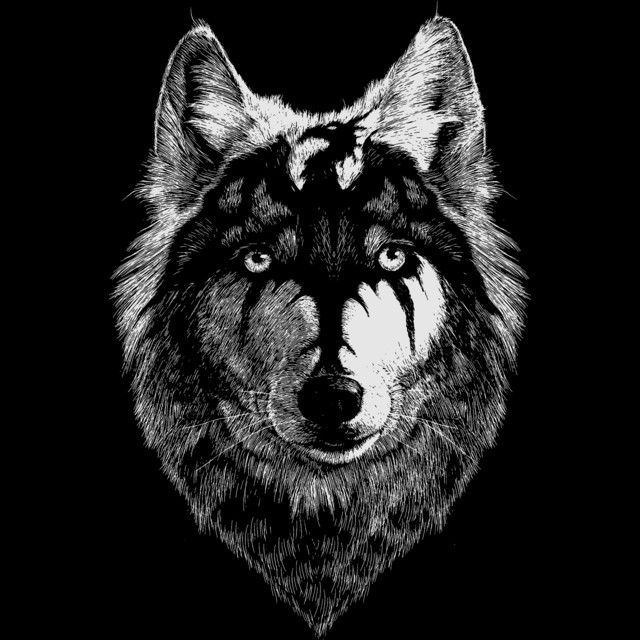 wolf-head-draw-with-the-dragon-t-shirt-design-by-exosam-design
