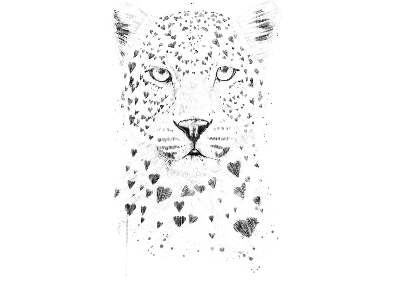lovely-leopard-t-shirt-design-by-balazs-solti-design