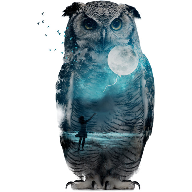 owl-t-shirt-design-by-sookkol