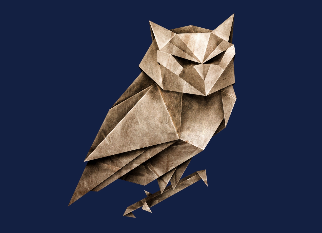 OWLIGAMI Design by Lucas Scialabba design