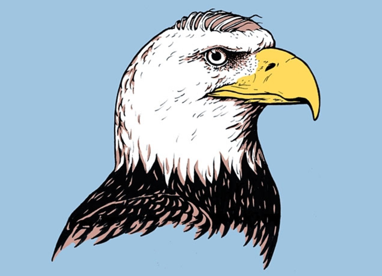 bald eagle design