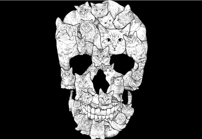 Sketchy Cat Skull T-shirt Design by Dinny main