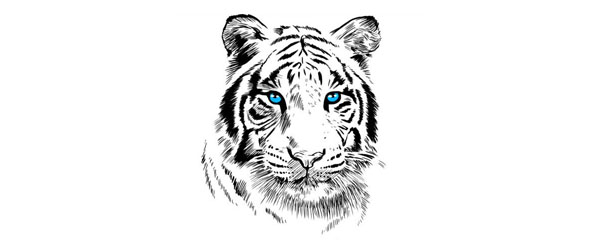 White Tiger T-shirt Design by Alberto Perez Chamosa