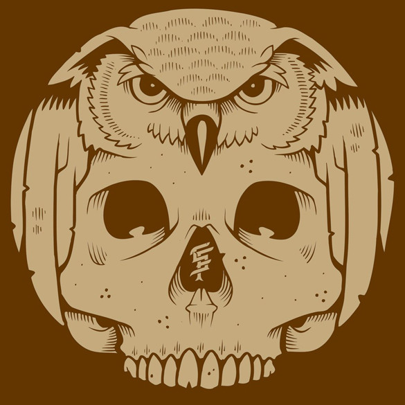 Wisdome and Owlsome, t-shirt design by Jeremy Fish