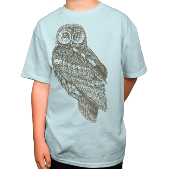 Owl t-shirt design
